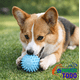 thumbnail image 1 of Pelota Juguete Antiestrés para Mascotas Perros Interactiva 6cm, 1 of 5
