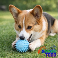 Genérico - Pelota Juguete Antiestrés Para Mascotas Perros Interactiva 6Cm