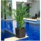 thumbnail image 1 of Macetero planta con balde extraíble wengue, 1 of 3