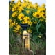 thumbnail image 4 of Aerosol repelente de insectos Sawyer Products SP6572, 710 ml, paquete doble, 4 of 7