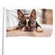 thumbnail image 1 of Bandera Decorativa Boston Terrier Desmarcar 90x150 cm, 1 of 6