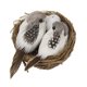 thumbnail image 5 of Pájaro Artificial Heno Nido Y Plumas Pájaros De Espuma Y Huevo De Aves Para La Decoración Del árbol Del Hogar, 5 of 5
