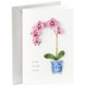 thumbnail image 1 of Tarjeta de cumpleaños Hallmark Signature for Her Orchid Design, 1 of 7