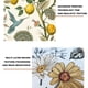 thumbnail image 3 of Papel tapiz despegable y pegado con hojas de eucalipto para decoración del hogar y la habitación de los niños., 3 of 5