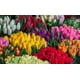 thumbnail image 2 of Esencias Aromáticas Para Jabones, Cremas, Difusor, Otros 30 Ml Flor Primaveral, 2 of 2
