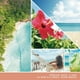 thumbnail image 3 of Vela aromática, 3 of 3