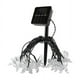 thumbnail image 1 of Guirnalda Mariposa Solar Led 5m Navidad Multicolor, 1 of 3