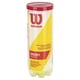 thumbnail image 3 of Funda para pelotas de tenis Wilson Championship Extra Duty, 3 of 5
