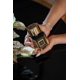 thumbnail image 5 of Perfume KORBAJ PARFUMS Jade Royale Extracto de Perfume 100 ml, 5 of 8