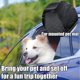thumbnail image 4 of Funda de asiento para mascotas MEKBOK Dog 100% impermeable para coches, camiones y SUV, 4 of 4