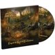thumbnail image 1 of Rock of Angels Records – Más Allá del Alcance del Encanto, 1 of 1