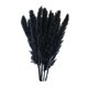 thumbnail image 3 of 15x Hierba De Pampas Seca Phragmites Reed Flower Bunch Home Wedding Decor Gift Negro, 3 of 5