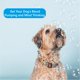 thumbnail image 5 of Juguete para perros Barkin' Good Bubbles con aroma natural a tocino a base de plantas, 5 of 7