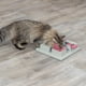 thumbnail image 5 of Juguete para gato TRIXIE Caja de actividad tipo poker Rosa/Gris 31 × 31 × 6 cm, 5 of 7