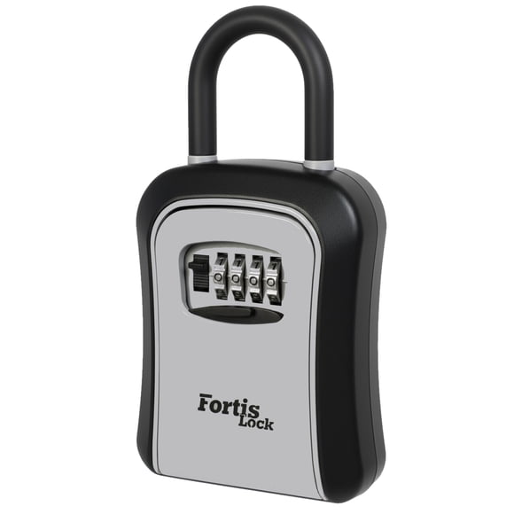 Caja de Seguridad Fortis Lock 16x9x3 cm 4 Dígitos Gris