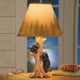 thumbnail image 2 of Lamp Collections Etc Rustic Trembing Bear Family Northwoods, 2 of 5