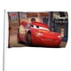 thumbnail image 1 of Cars: Aventuras Sobre Ruedas Bandera impresa con temática, regalo perfecto para fanáticos, amigos y familiares, y adecuada para actividades al aire libre e interiores, decoraciones de fiesta. 60*90CM, 1 of 6