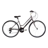 Bicicleta Upland Emily 700 Talla 17 Gris