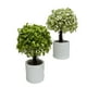 thumbnail image 5 of Plantas Artificiales Mini Bonsai Arbol Decoracion 6 unidades verde, 5 of 5