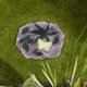 thumbnail image 4 of Sendero de jardín Stepping Stone Accent Plus con mariposas brillantes, 4 of 8