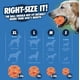 thumbnail image 3 of Juguete para perros Chuckit! Pelota Air Fetch, tamaño mediano, para perros de 9 a 27 kg, 3 of 8
