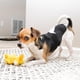 thumbnail image 5 of Set De 3 Peluches Para Perro Dr Noys Pato Platy, 5 of 6