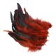 thumbnail image 2 of 50 Uds. De Plumas Para Manualidades, Decoraciones Para Bodas, Fabricación De Joyas, Café, 2 of 5