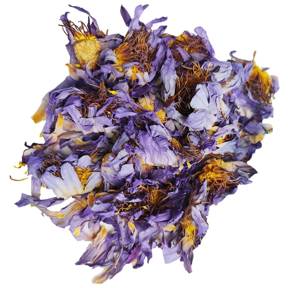 Flores de loto secas CoolCrafts azules naturales 28 g