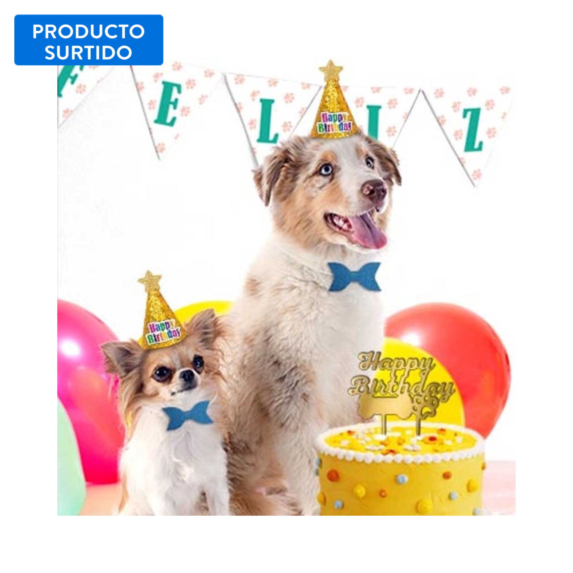 Set Fiesta De Mascota Color Surtido 1 Un Let's Celebrate