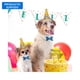 thumbnail image 1 of Set Fiesta de Mascota Color Surtido, 1 Un, 1 of 4