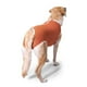 thumbnail image 4 of Body de Cobre Tradicional para Perros y Gatos Postoperatorio Talla 3, 4 of 6