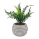 thumbnail image 3 of Planta Artificial filicopsida, 3 of 4
