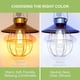 thumbnail image 3 of Bombilla LED Sigalux Edison ST58, filamento E26, 6 W, 2700 K, paquete de 12, 3 of 7