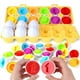 thumbnail image 1 of Huevos Educativos Montessori Encaje De Figuras, 1 of 4