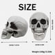 thumbnail image 4 of Calavera MOKRY PARTY 20 × 15 × 20 cm Blanca para Decoración de Halloween, 4 of 7