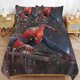 thumbnail image 2 of Spider-Man - Action 3 Piece Sets Full/Queen Size - Reversible Microfiber Quilts with 2 Shams Soft Lightweight Bedspread Coverlet Comforter for All Season Bed Sheets, 2 of 5