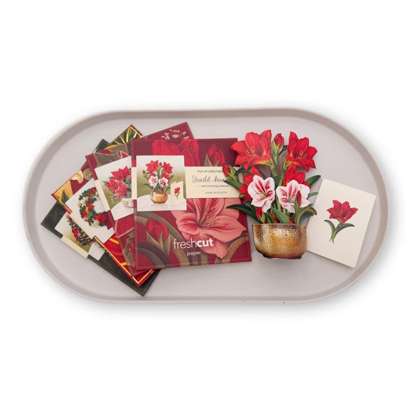 Tarjeta de Felicitación Freshcut Paper - Set Navideño de 5 Piezas