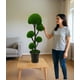 thumbnail image 3 of Planta Artificial Decorativa Estilo Bonsái Interior Jhn, 3 of 3