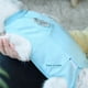 thumbnail image 4 of Traje de recuperación profesional para gatos, ideal para heridas abdominales o enfermedades de la piel. Alternativa al collar isabelino para gatos y perros. Uso posoperatorio para evitar lamidos., 4 of 8