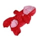 thumbnail image 2 of Ropa Impermeable Para Perros, Poncho De Lluvia Ligero Para Cachorros Para Perros Pequeños Y Medianos, 2 of 5