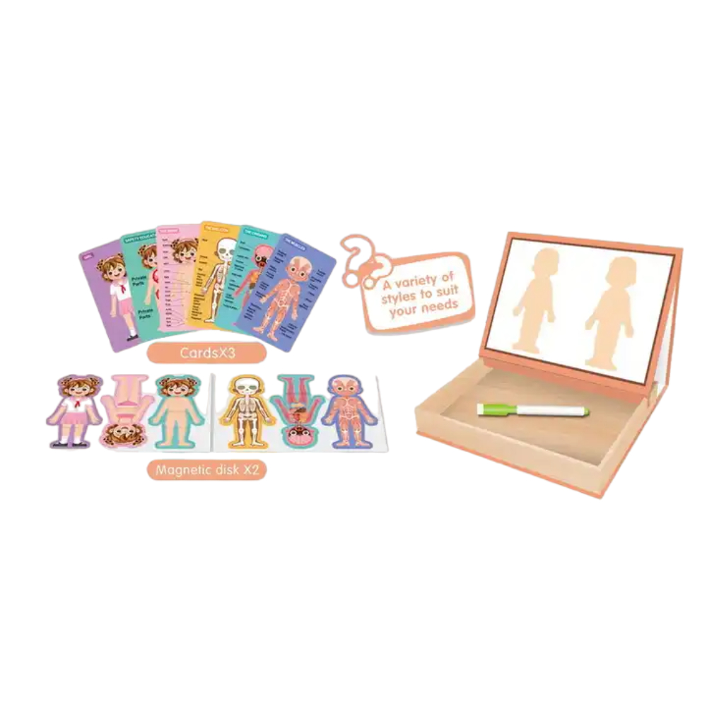 Otuti - Caja De Aprendizaje Cuerpo Humano Magnética Con Pizarra