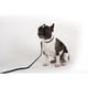 thumbnail image 5 of Collar Starwars Talla M + Correa, 5 of 5