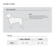 thumbnail image 5 of Collar para perro Carhartt Pet con correas totalmente ajustables, tamaño grande, 5 of 6