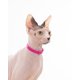 thumbnail image 5 of Collar para gato Nuvuq con cierre de seguridad, suave, ligero, rosa, 17,5-26 cm, 5 of 7