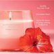 thumbnail image 3 of Vela aromática Yankee Candle Studio Cliffside Sunrise 300 ml, 3 of 8