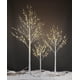 thumbnail image 1 of Luz LED Birch Tree Lightshare de 1,2 m, 1,8 m y 2,4 m, color blanco cálido, 1 of 3