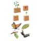 thumbnail image 4 of Conjuntos De Ciclo De Vida, Figuras De Juguete, Mariposas Y Plantas De Frijol, Ciencia Para Niños, 4 of 5