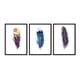 thumbnail image 1 of Set de Cuadros Abstracto Plumas Multicolor con Marco Negro, 1 of 1