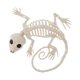 thumbnail image 4 of PVC Animal Esqueleto Huesos Horror Halloween Hogar Casa Encantada Decoración-Gecko, 4 of 6