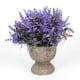 thumbnail image 1 of Arreglo Planta decorativa Artificial Flores, 1 of 2